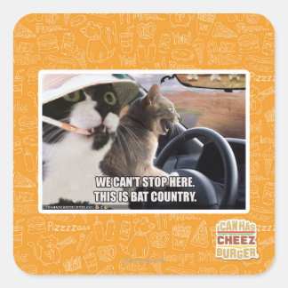 Bat country square sticker