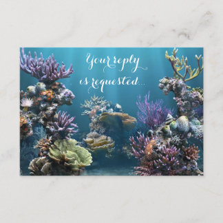 Bat mitzvah d'aquarium RSVP