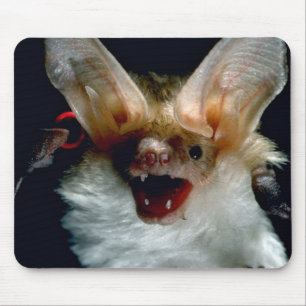 Bat Mouse Pad