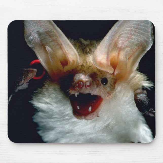 Bat Mouse Pad (Front)