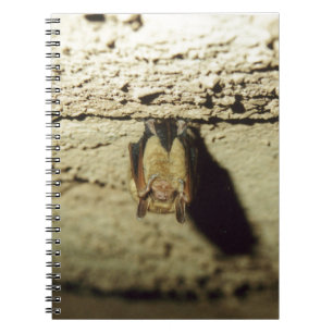 Bat Notebook