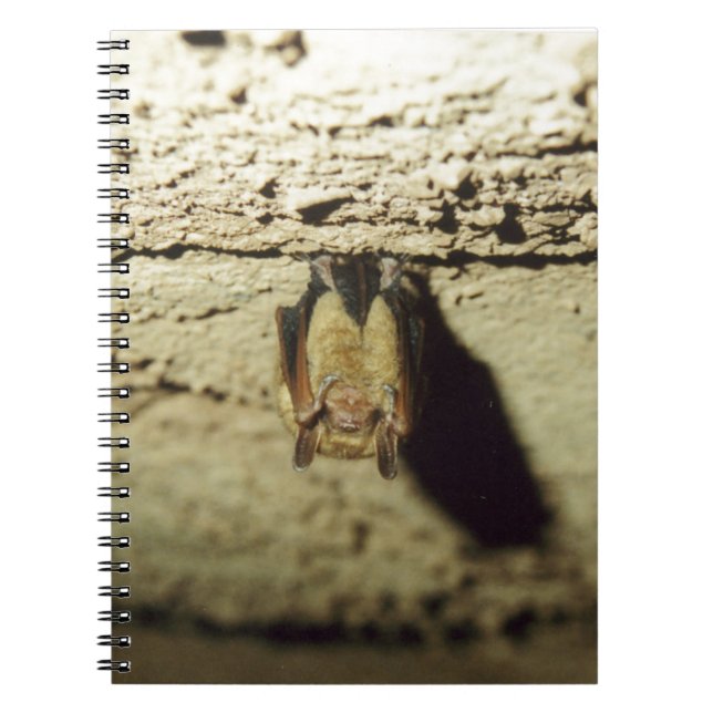 Bat Notebook (Front)