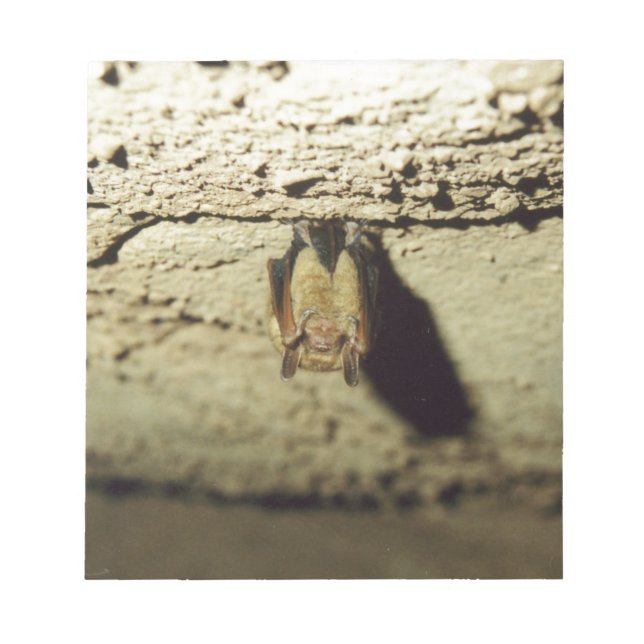 Bat Notepad (Front)