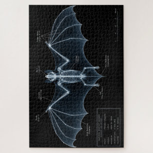 Bat Skeleton X-Ray Museum Specimen Jigsaw Puzzle