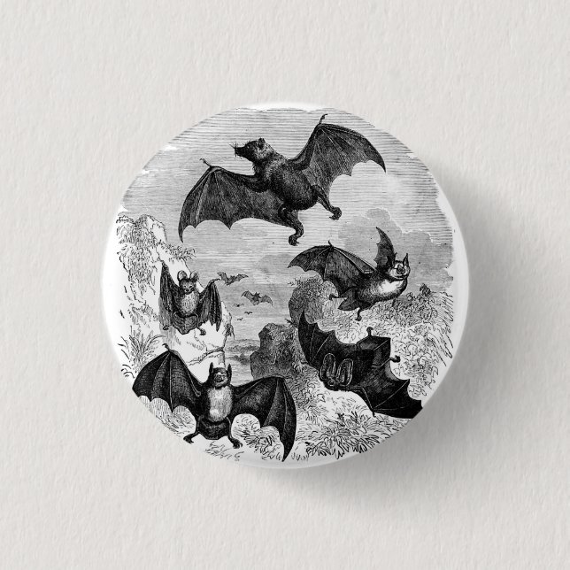 Bat Sketch 1 Inch Round Button (Front)