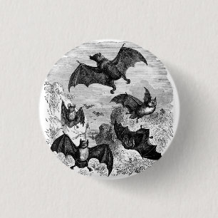 Bat Sketch 1 Inch Round Button