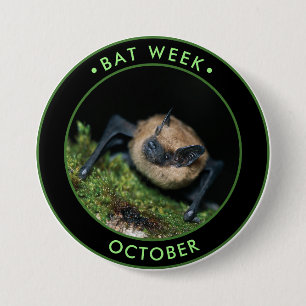 Bat Week, cute brown bat 3 Inch Round Button