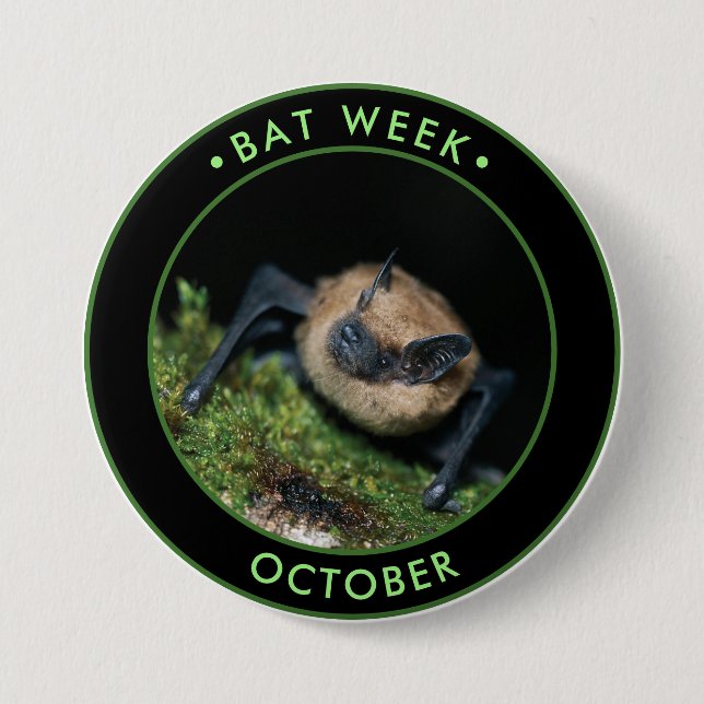 Bat Week, cute brown bat 3 Inch Round Button (Front)