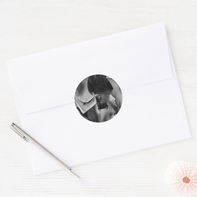Bat Wings Bat Lovers' Sticker Set (Envelope)