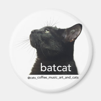 Batcat : aimant