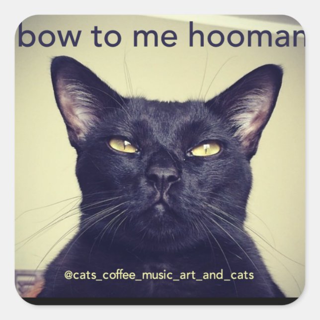 Batcat: bow to me hooman Sticker (Front)