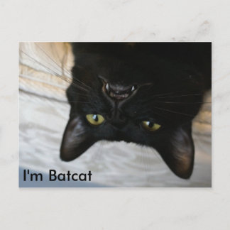 Batcat: I'm Batcat Postcard