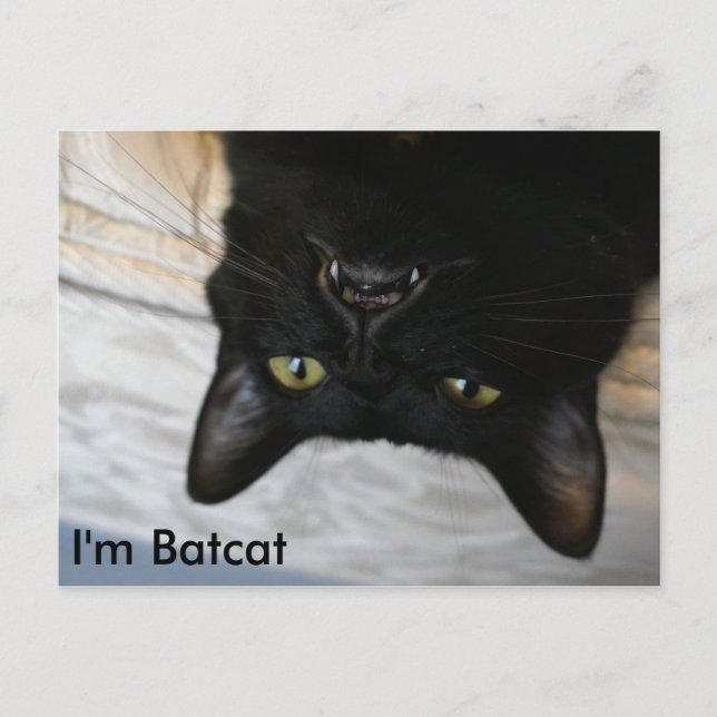 Batcat: I'm Batcat Postcard (Front)