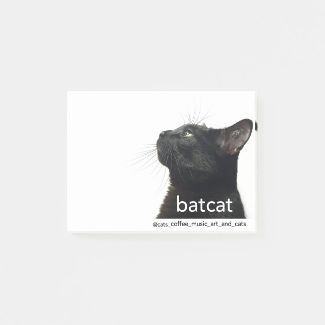 Batcat: notes (Front)