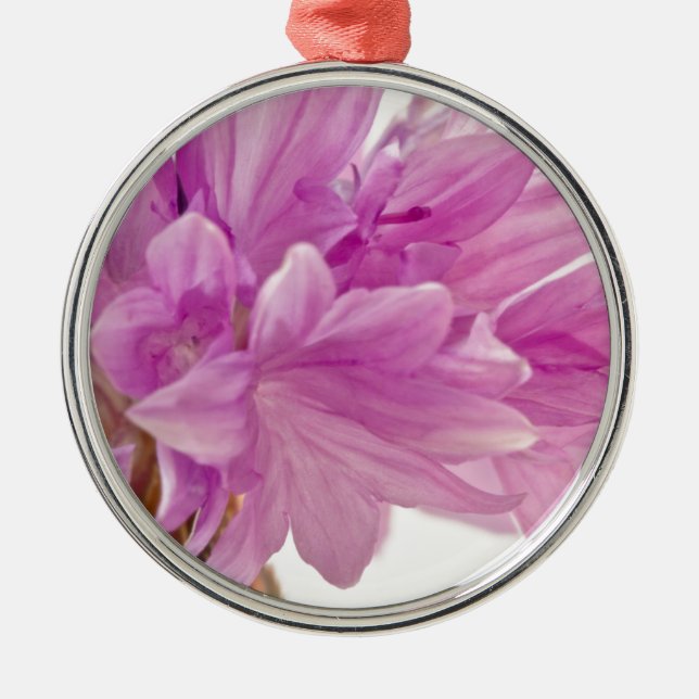 Batchelor Button Metal Ornament (Front)