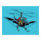 Batcopter