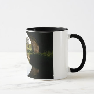 Bateau de canal de Llangollen par la tasse de pont