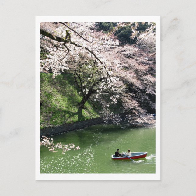 Bateau sur Chidorigafuchi : Tokyo, Japon Carte pos (Devant)