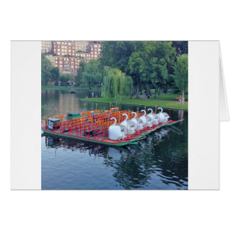 Bateaux Boston Swan