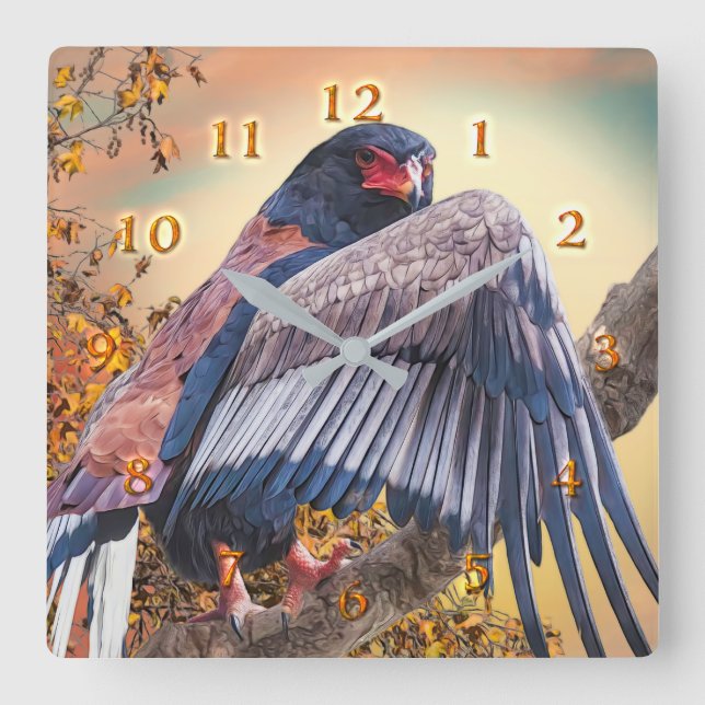Bateleur Eagle "SUN DANCER" Square Wall Clock (Front)