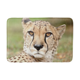 Bath Mat Photo guepard cat , animals.