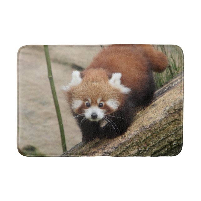 Bath Mat Photo red panda , animals 0127. (Front)