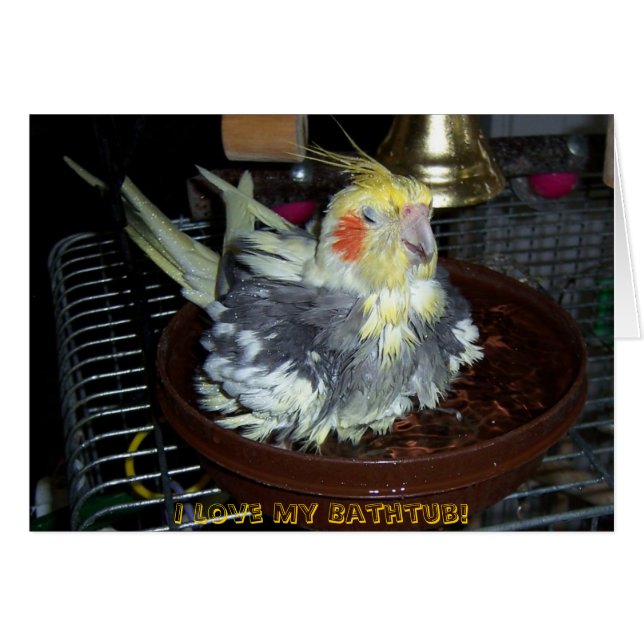 Bath Time (Front Horizontal)