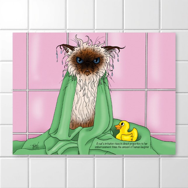 Bath Time Cat Poster (Creator Uploaded)