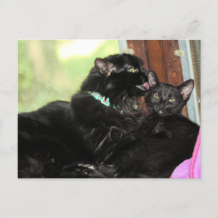 Bath time holiday postcard