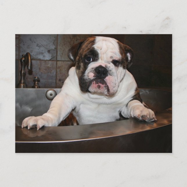 Bath time Post card (Front)