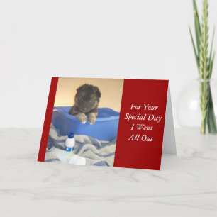 Bath Time Puppies Card