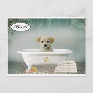 Bath time puppy postcard