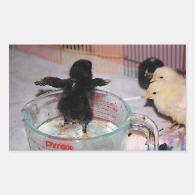 Bath time sticker (Front)