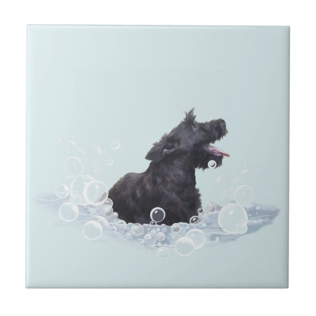 Bath Time Tile (Front)