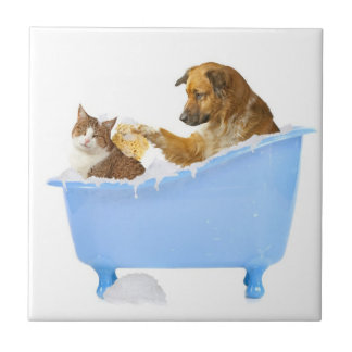 Bath time tile