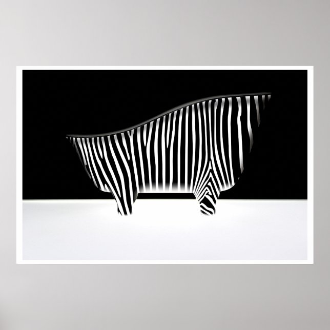 Bath with zebra stripes poster (Front)
