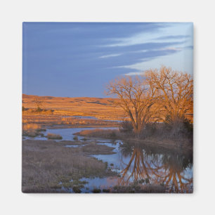 Bathed in sunset light the Calamus River Magnet