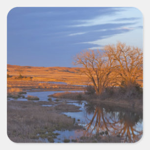 Bathed in sunset light the Calamus River Square Sticker