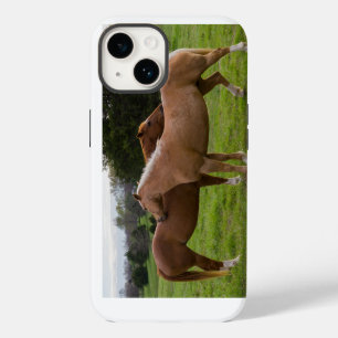 Bathing Beauties iPhone Case