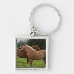 Bathing Beauties Keychain