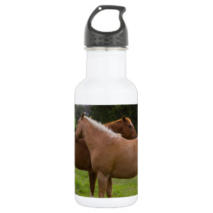 Bathing Beauties Water Bottle