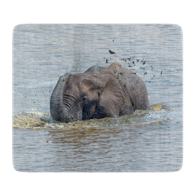 Bathing elephant cutting board (Front)