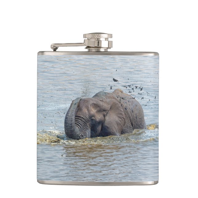 Bathing elephant hip flask (Front)