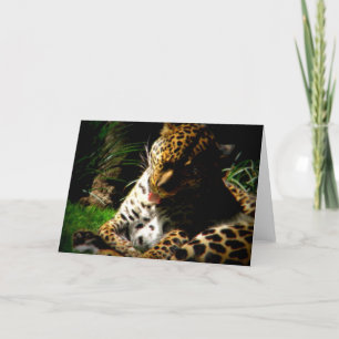 Bathing Leopard Holiday Card