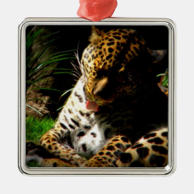 Bathing Leopard Metal Ornament (Front)