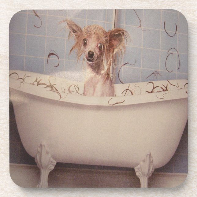 BATHING PUPPY COASTER (Front)