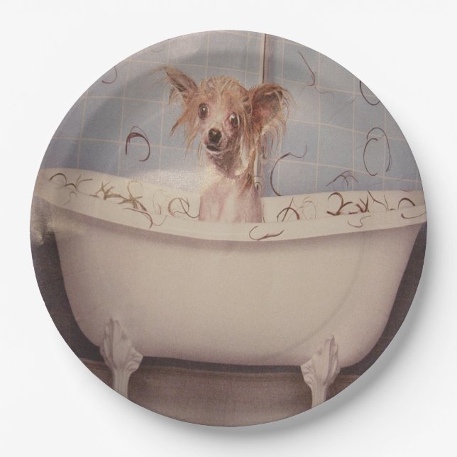 BATHING PUPPY PAPER PLATE (Front)