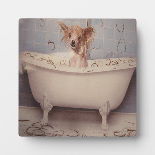 BATHING PUPPY PLAQUE (Front)