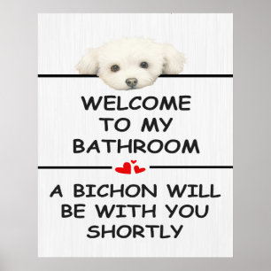 Bathroom Bichon Frise Poster