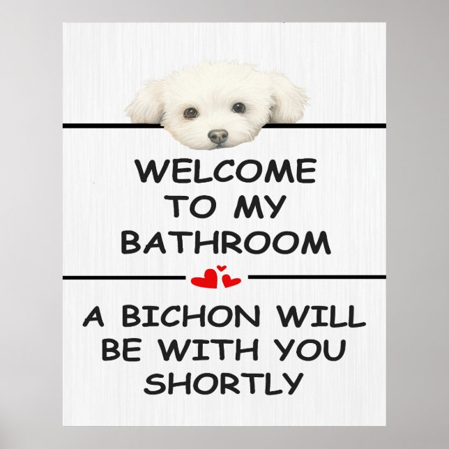 Bathroom Bichon Frise Poster (Front)